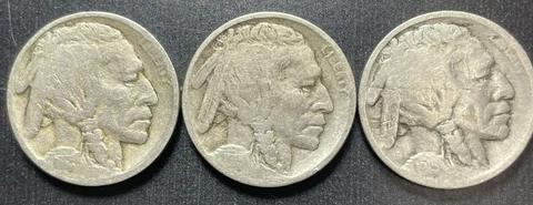 1915 P, D, & S Buffalo Nickel Set in Good or Better Condition - 3 coins Cover