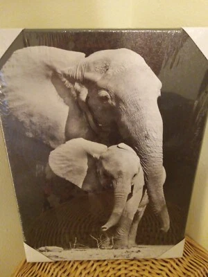 Quadro em tela preto e branco mãe e bebê bezerro elefante 15,75" x 11,75" - Imagem 1 de 3