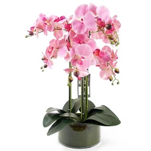 Orquídea Artificial con Maceta de Vidrio Rosa - Imagen 1 de 4