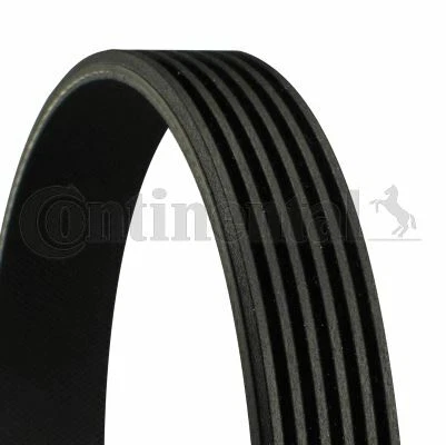 CONTINENTAL COURROIE D'ACCESSOIRE POUR MERCEDES CLASSE C C 220 CDI,C 270 CDI - Photo 1/1