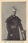 Bishop Sheehan, Waterford and Lismore. Ireland clergy 1905 old antique print
