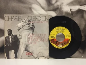 Charlie Mcclendon & The Magnificents We'Re Gonna Hate Ourselves 7 " 1969 Ex + - Bild 1 von 3