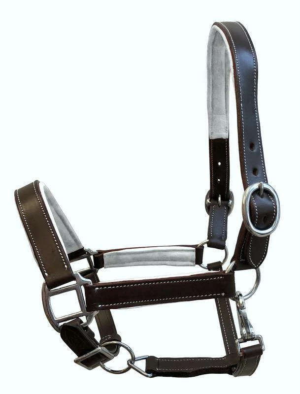 Halter de cuero MARRÓN XL/caballo de sangre caliente rosa verde azulado púrpura blanco R. azul acolchado Foto 1 de 1