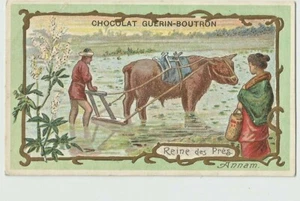 CHROMO CHOCOLAT GUERIN BOUTRON / DIVERS - Foto 1 di 1