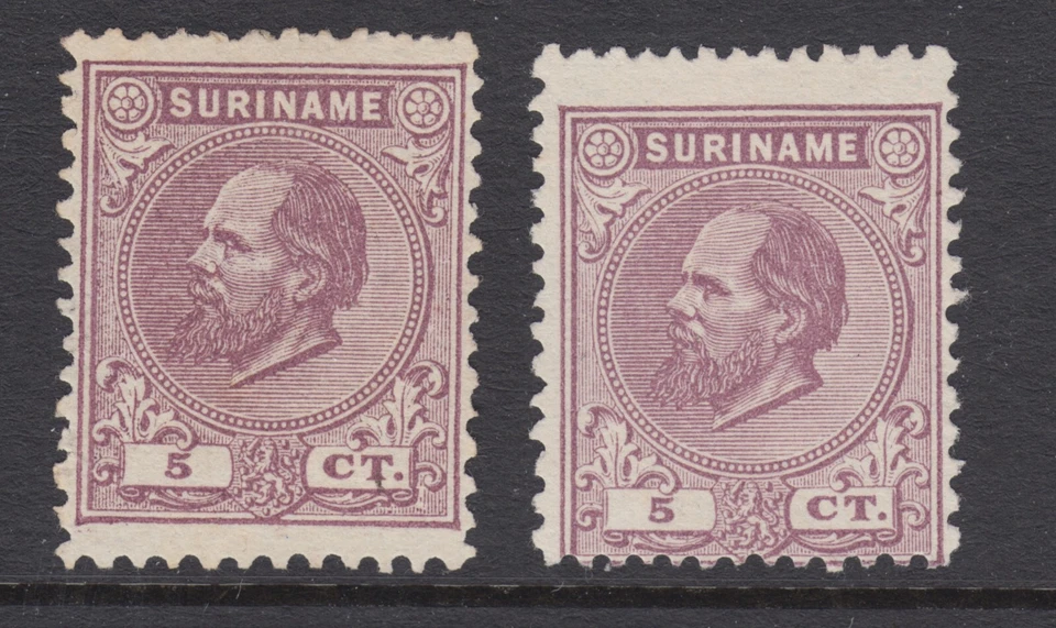 Surinam Sc 5 MNG. 1873 5c dull violet, Perf 11½x12, Perf 12½x12 examples, sound - Image 1 of 1