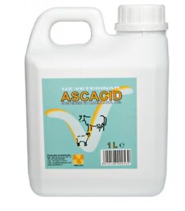 ASCACID  10% 1L 