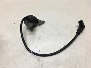 10000004931 BOBINA DE ENCENDIDO MOTOR GENERAC - Imagen 1 de 3