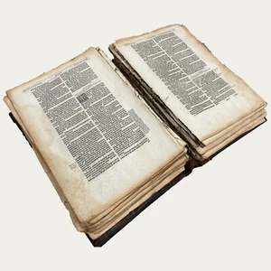 1595 Bishops' Bible Page - An Old or New Testament Leaf - Select Your Passage - Picture 1 of 9