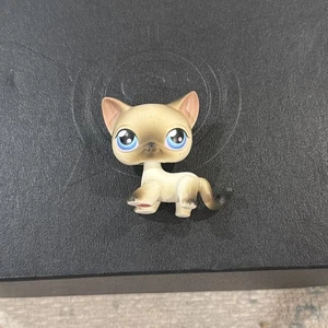 Littlest Pet Shop Authentic # 5 White Black Siamese Cat Blue Eyes LPS Red Magnet - Picture 1 of 4