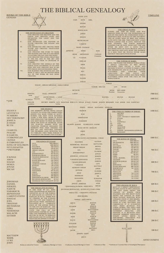 The Biblical Genealogy Chart Family Tree From Adam to Jesus Books of Bible Timel