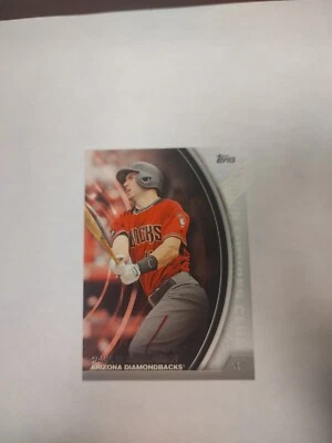 Paul Goldschmidt 2016 Topps Silver 500 Homerun Futures Club Card #500-12 (PWE) - Image 1 of 2