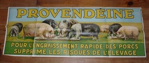 RARE AFFICHE PUBLICITAIRE 1945-1950 PROVENDEINE AGRICULTURE ELEVAGE PORCS COCHON - Imagen 1 de 1