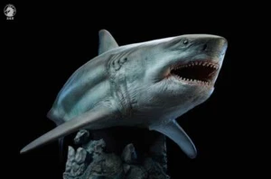 W-Dragon 1/35 Megalodon prehistoric sharks Dinosaurs Model toy Figure statue - Picture 1 of 8