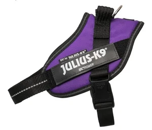 Julius-K9 IDC Powerharness, Size: S/Mini, Dark Purple - Picture 1 of 8