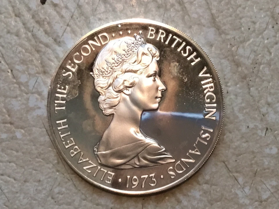 Moeda de prata 1973 Ilhas Virgens Britânicas Rainha Elizabeth II BIRD prova $1 moeda - Imagem 1 de 3