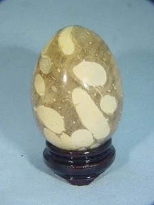 ABERW seltene australische Erdnussholz Ei Lapidarkugel Fossil 8594A ab - Bild 1 von 1