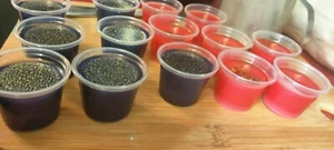 Wax Melt Shot Pot - pack of 5 (gingerbread) - Picture 1 of 4