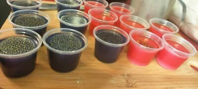 Wax Melt Shot Pot - pack of 5 (salted caramel) - Image 1 of 4