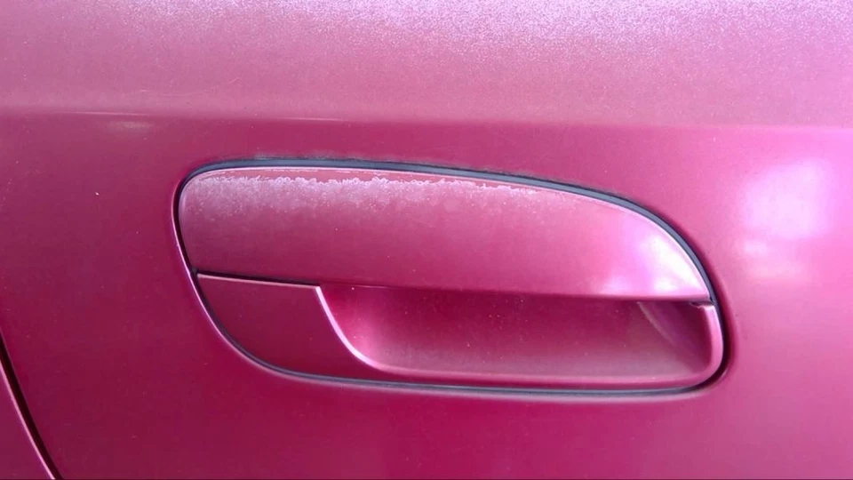 Passenger Door Handle Exterior Assembly Door Rear Fits 01-06 ELANTRA 648841 - Изображение 1 из 1