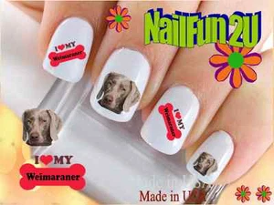 Nail Art 155C RAZZA CANE "Love Weimaraner Bone" WaterSlide decalcomanie unghie trasferimenti - Foto 1 di 2