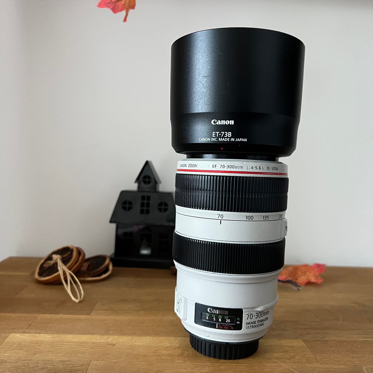 Canon 70 300 L for sale | eBay 