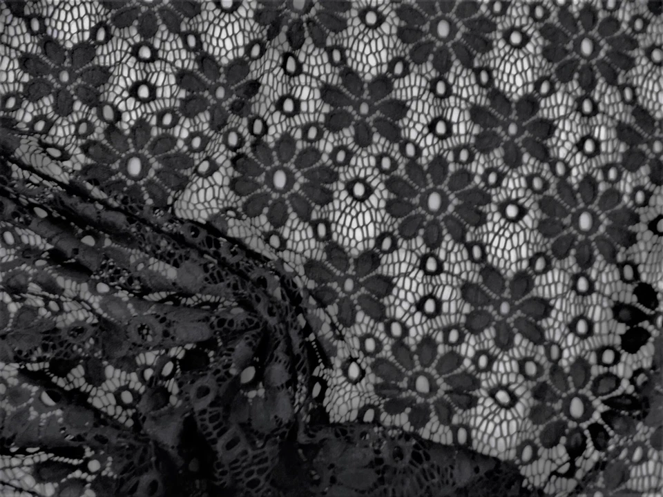Tela bordada de encaje elástico transparente floral negra AA106 Foto 1 de 1