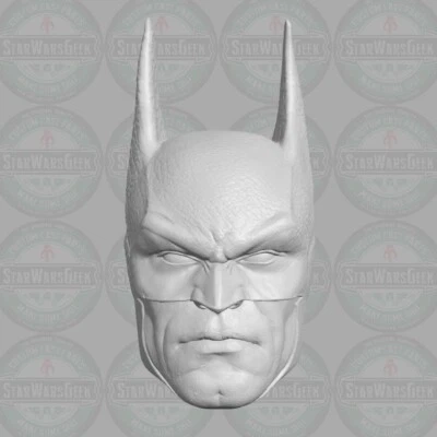 SWGDESIGNWERX Absolute Batman Bruce Wayne custom head for 1:6 1:10 1:12 1:18 action figures