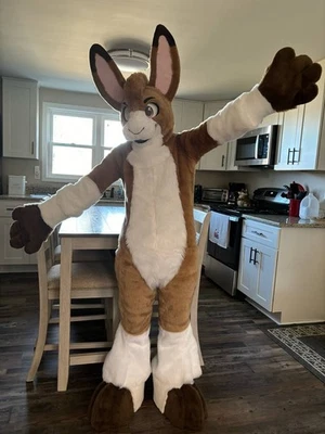 Rabbit Full Plantigrade Fursuit - Free of wear and almost never worn! - Image 1 of 4