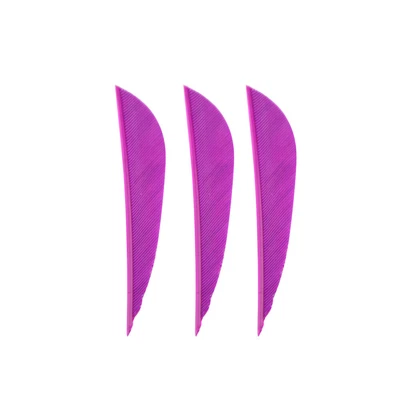 50 piezas Ballesta Flecha Pluma 2" Natural Pavo Flechas Ala Derecha Hágalo Usted Mismo Tiro con Arco Foto 1 de 4