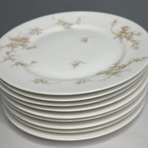 Theodore Haviland Limoges Pink Spray Roses Salad Plates 7.5” Set of 9 - Picture 1 of 5