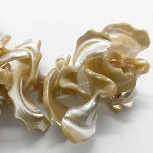 Mother-of-pearl shell beads (natural), 15x9-29x19mm frangia. 10 beads. - Picture 1 of 3