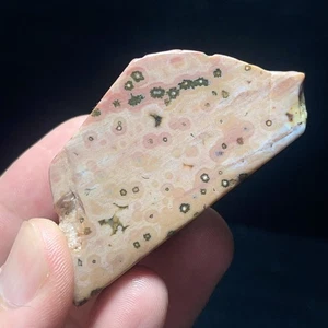 Rare 51G Natural Orbicular Ocean Jasper Rough Stone Healing Madagascar L5988 - Picture 1 of 6