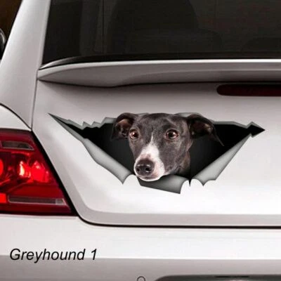 LARGE-SIZED CAR DECALS - GREYHOUND - Image 1 of 2