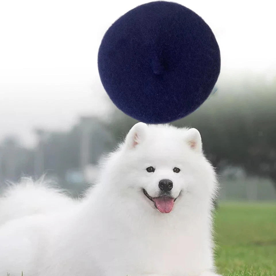 Gato Perro Boina Perro Gorra Cálida Lindo Disfraz Foto Accesorios Banda Elástica Ajustable para Foto 1 de 1