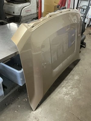 Ford F150 2009-2014 capó delantero aluminio OEM adobe pálido metálico #167 Foto 1 de 4