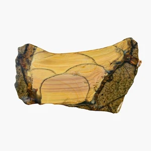 Blue Mountain Jasper Slab - Bubbly Orb Pattern - Oregon - Picture 1 of 4