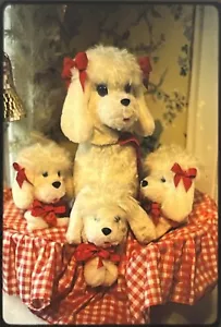 Foto Diapositiva De Colección Cachorro Peluche Muñecas Perro Kodachrome - Imagen 1 de 3