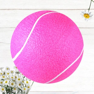 8 -inch Inflatable Tennis Ball Sports Balls Child Big Giant Bubble - Picture 1 of 11