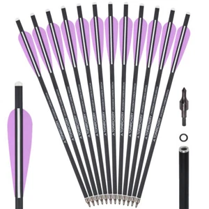 16" Bolts Archery Carbon Arrows 4'' Vanes Shooting Hunting OD8.8mm Screw-in Tips - Picture 1 of 22