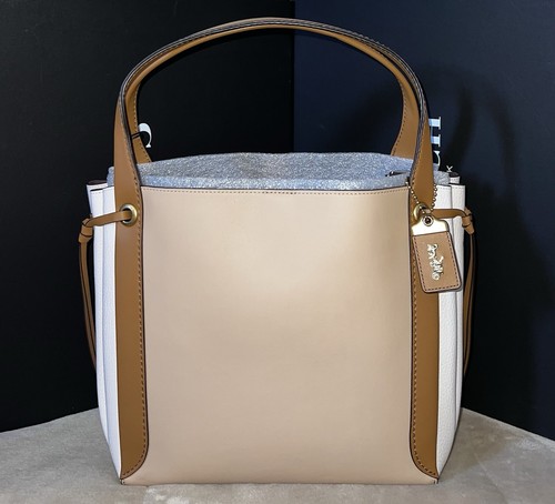 Borsa Coach 1941 Harmony Hobo in pelle di faggio colorblock stile 53353