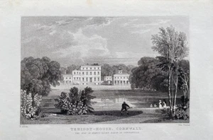 Impresión antigua de 1831; Tehidy House, Cornualles después de T. Allom - Imagen 1 de 2
