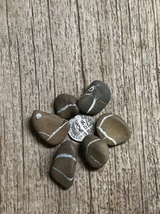 Lote Piedras Relámpago Cristal Suave Michigan Piedras Curativas Septarianas Lote LS13 - Imagen 1 de 2