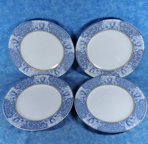 4 Coventry PALACE GARDEN Fine Porcelain China Dinner Plates- Look Unused - Picture 1 of 4