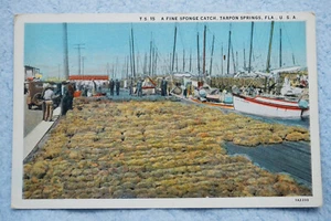 A Fine Sponge Catch - Tarpon Springs, Florida - Picture 1 of 2