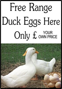 DUCK EGGS SIGN. Chicken Eggs/Duck Eggs/Coal/Logs/Jam/Chutney/Honey/Strawberries - Picture 1 of 23