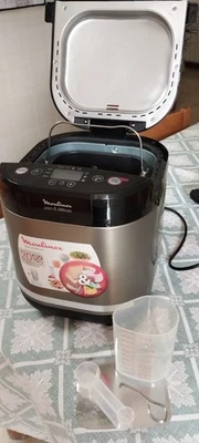 Moulinex Pain & Délices OW240E 650W Macchina del Pane - Argento/Nero - Immagine 1 di 3