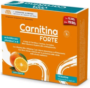 Sanavita Carnitina Forte, Formula Completa + Creatina, Carnosina, Beta-Alanina p - Foto 1 di 12