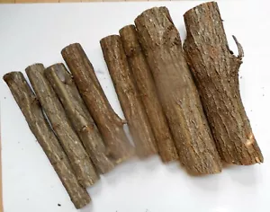 20 lbs. Honey Locust Wood 1 to 4 Inch Dia. Logs For Carving, Woodwork Display - Picture 1 of 3