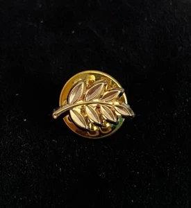 Masonic Freemason Sprig of Acacia Legend of the Third Degree - Picture 1 of 4
