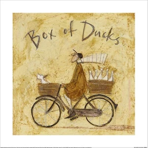 Sam Toft - Box of Ducks - Official 40 x 40cm Fine Art Print PPR55324 - Picture 1 of 1
